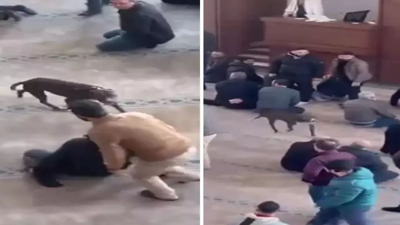 Cami Cemaatine Korku Dolu Anlar Yaşatan Pitbull Olayı Sonrası Sahibe İşlem