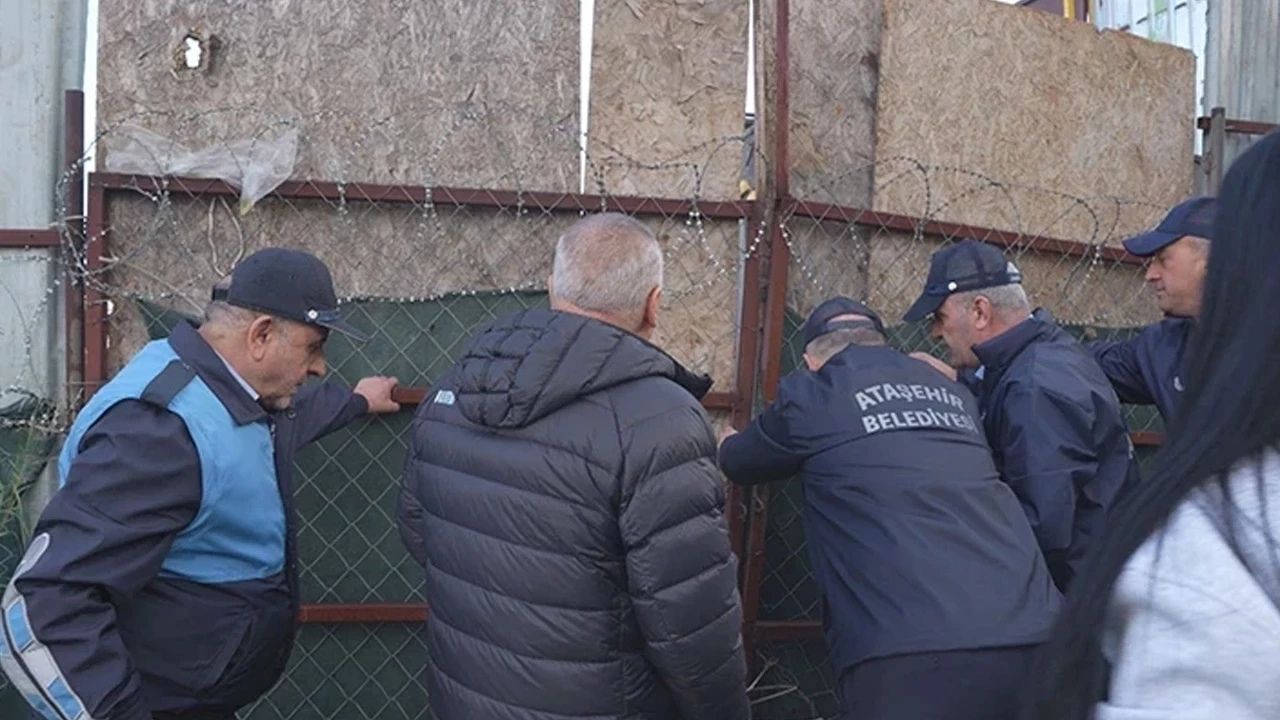 Ataşehir’de kaçak at kesimi iddiası: 2 kişi gözaltında