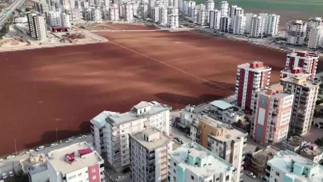 Herkes Sattı, O Direndi: Betonun Ortasında Tarım Yapıyor