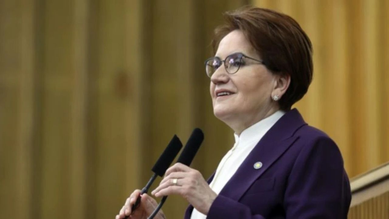 Meral Akşener Vakfı Kuruldu: Logodaki Yarım Yaprak Dikkat Çekti