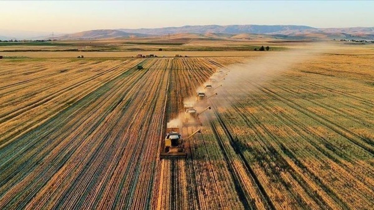 Tarım Girdileri Fiyat Endeksi Şubat’ta Yıllık %31,55 Yükseldi