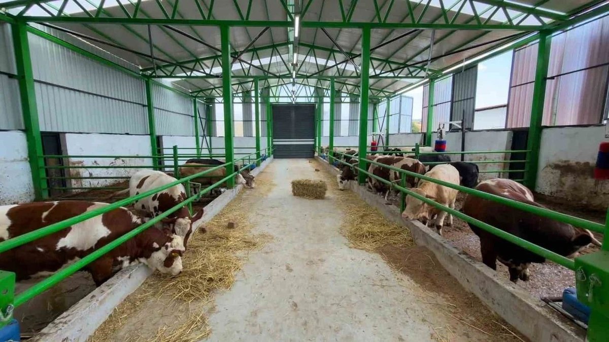 Gediz’de Tarıma Güç Katacak 12 Milyon Liralık Besi Yatırımı Hizmete Girdi