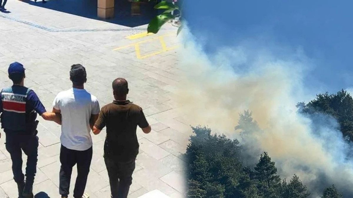 Torpil Şakası 92 Hektar Ormanı Küle Çevirdi: 43,7 Milyon TL Tazminat Cezası